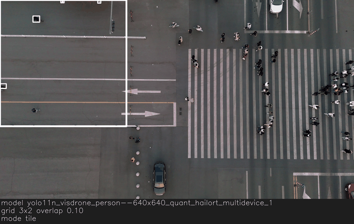 TileModel highlights each tile and overlays merged detections.